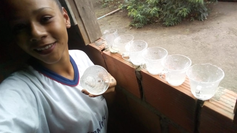 Estudantes da zona rural de Valença desenvolvem copos biodegradáveis com  casca de aipim e coração de banana
