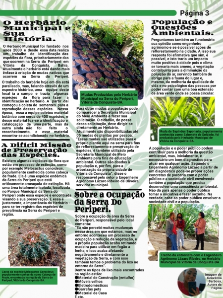 Jornal Informativo da Bahia - Grupo de estudantes utiliza Jardim