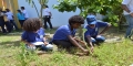 Estudantes da rede estadual participam de Dia do Voluntariado no bairro de Arenoso
